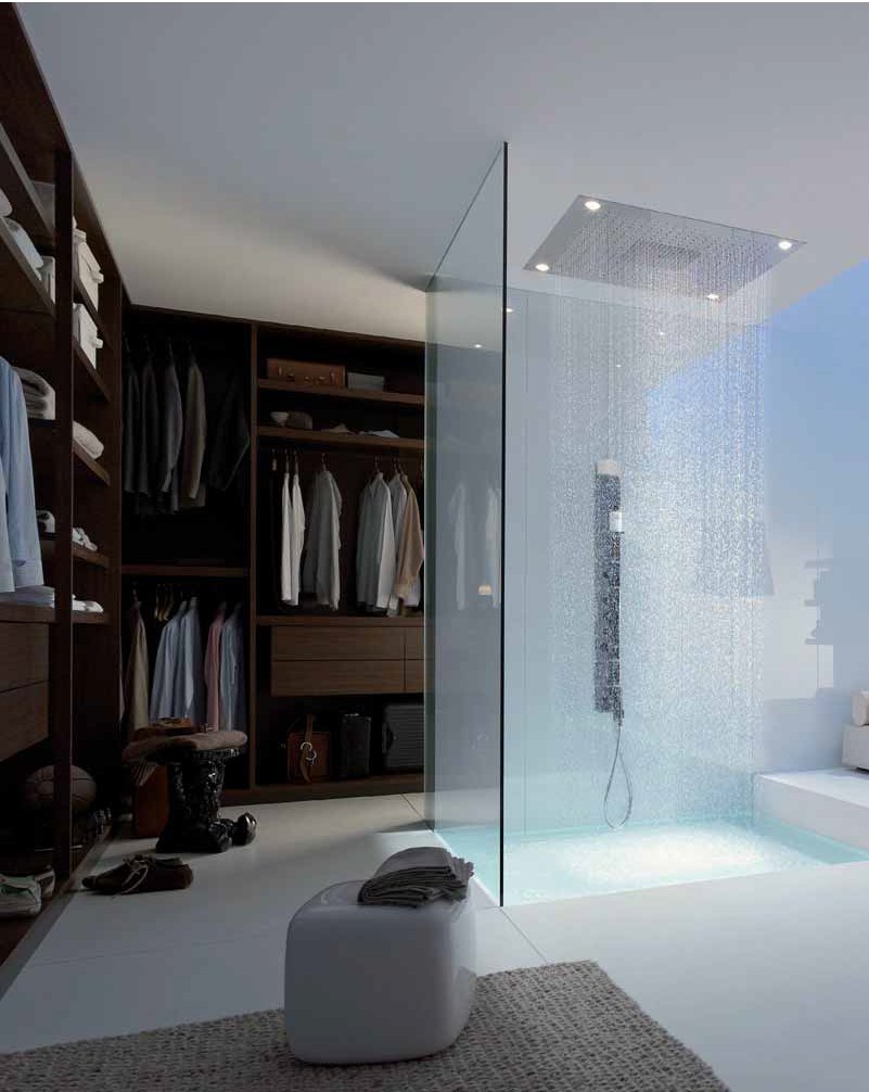 walk in closet with shower inside