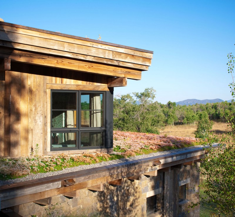 Reed Residence by Robert Hawkins Architects 15