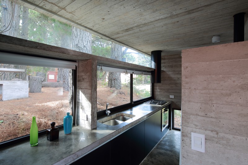 Pedroso House by María Victoria Besonías and Luciano Kruk 15