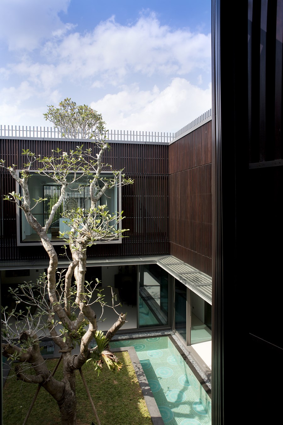Centennial Tree House by Wallflower Architecture + Design 13