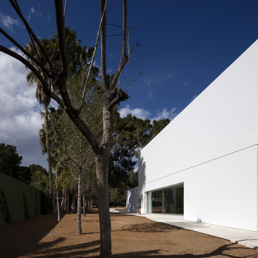 House between the pine forest by Fran Silvestre Arquitectos 43